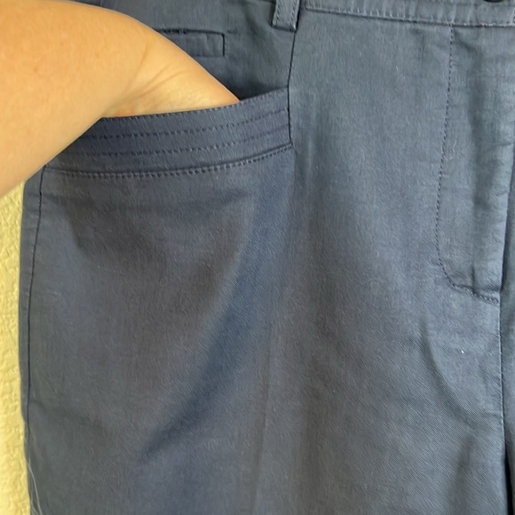 Gerard Darel Paris Blue Ankle Crop Pant Trousers Size 42/10 - Picture 4 of 7